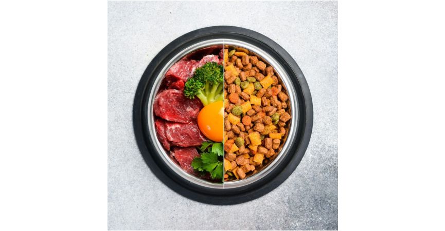 Najlepsze proporcje: karma mokra + sucha 1:1 dla zdrowia.