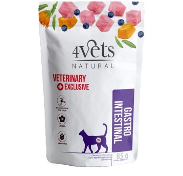 4VETS Natural Gastro Intestinal dla Kota 85g