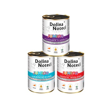 DOLINA NOTECI JUNIOR PREMIUM MIX SMAKÓW 12X400G